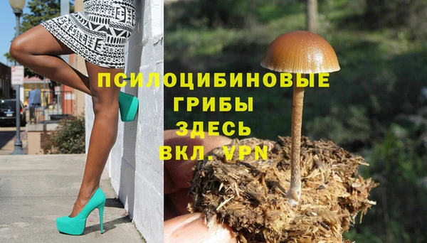 амф Майский