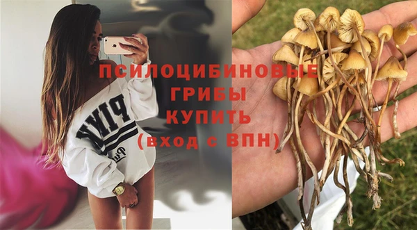 амф Майский