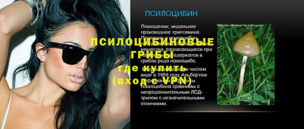 амф Майский