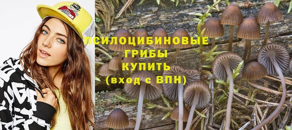 mdpv Магас