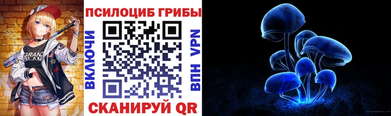 mega сайт  Ясный  Псилоцибиновые грибы GOLDEN TEACHER 